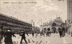 VINTAGE POSTCARD Venezia Piazza S Marco Volata Dei Piccioni