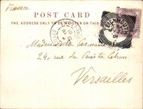 Cara de Wes de la POSTAL de la VENDIMIA la catedral