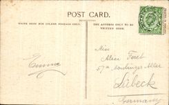 VINTAGE POSTCARD Beach and Shrubbery Southend