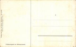 CPA Fruhmorgens im Schwarwald