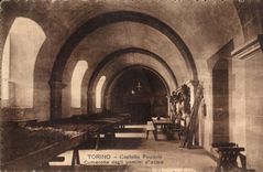 CPA Torino Castello Feudale Camerone degil uomini d Arma