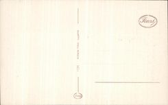 Pez gordo Vecchio Pnorama de Firenze de la POSTAL de la VENDIMIA