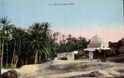 VINTAGE POSTCARD Marabout in L Oasis