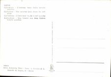 MODERN CARD Siena Cattedrale L Interno Visto paved Navatta