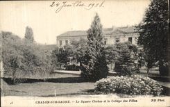 VINTAGE POSTCARD Trawl net On the Saone the Chabas public garden and the College of the Girls