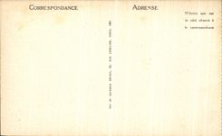 CPA Vezelay Basilique de la madeleine Nef Vue en Largeur