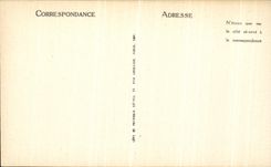 CPA Vezelay Basilique de la Madeleine Tribune du Narthex Vue Sur la Nef