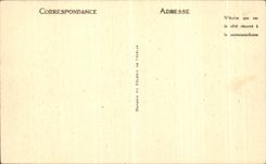 CPA Vezelay Basilique de la Madeleine Le portail du Narthex