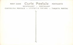 CPA Vezelay Eglise de la Madeleine Probablement Daniel dans la Fosse aux Lions