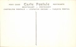 VINTAGE POSTCARD Vezelay Eglise of the Fifth Pillar of the Nave Dimensions Northern Dead D Absalon