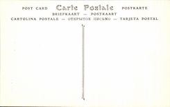 VINTAGE POSTCARD Vezelay Eglise of the Madeleine Chapiteau of the fourth Pillar of the Nave Dimensions Northern David keep silent Goliath