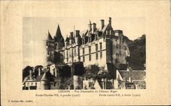 VINTAGE POSTCARD Loaches Seen D together of the Royal Castle