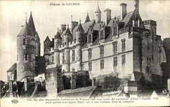 VINTAGE POSTCARD Loaches Castle