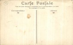 Chimenea del ayuntamiento de Amboise de la POSTAL de la VENDIMIA del cuarto del consejo