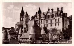 VINTAGE POSTCARD Loaches Royal Castle and the door of Cordeliers