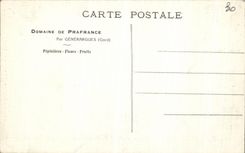 VINTAGE POSTCARD Field De Prafrance By Generargues Seedbeds Gone of the bamboos