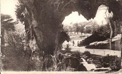 CPA Nimes Jardin de la Fortaine Interieur de la Grotte