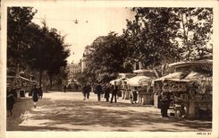 CPA Toulouse Avenue Jean Jaures 