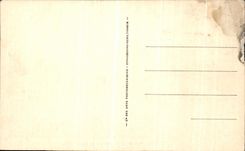 Puente de Nevers de la POSTAL de la VENDIMIA del Loire y de la ciudad