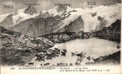 CPA Le Dauphine Pittoresque La Grave Le Lac Lerie et le massif de la Meije Vaches