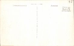 VINTAGE POSTCARD Grenoble the Tower D Orientation