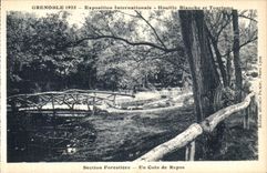 VINTAGE POSTCARD Grenoble International exhibition Hydro electric power and Tourism Forestiere Section a Corner of Rest