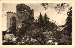 CPA Les Chateaux De La Loire Les Douves du Chateau de Cinq Mars