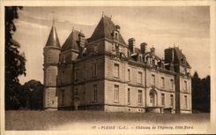 CPA Plesse Chateau de L Epinay 