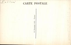 La POSTAL Chenonceaux de la VENDIMIA el castillo dimensiona L norteno incorporado con el puente de Levis