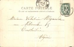 VINTAGE POSTCARD Panorama of Grenoble and the Alpine range