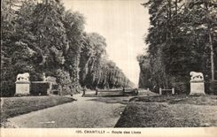 CPA Chantilly Route des Lions