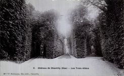 CPA Chateau De Chantilly Les Trois Allees