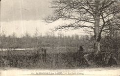 VINTAGE POSTCARD St Honors the Small Pond les Bains