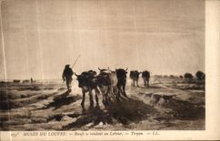 VINTAGE POSTCARD Museum Of Louvre Oxen going to the Troyon Ploughing