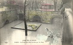 VINTAGE POSTCARD Believed Of the Seine Paris the Bear pit Envable By Water