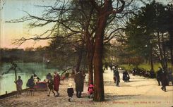 VINTAGE POSTCARD Paris the Montsouris Park an Alley and the Lake
