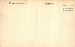 VINTAGE POSTCARD Langres Well Renaissance