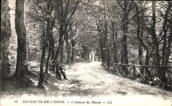 CPA Bagnoles De L Orne Allee du Dante 