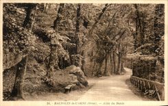 CPA Bagnoles De L Orne Allee du Dante 