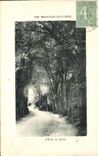 CPA Bagnoles de L Orne L Allee du Dante 