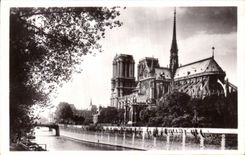 VINTAGE POSTCARD Paris Notre Dame and the public garden of L archbishop s palace