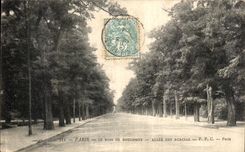 VINTAGE POSTCARD Paris the Bois de Boulogne Gone of the Acacias