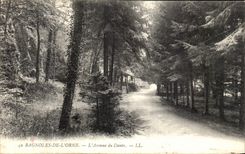 CPA Bagnoles de l Orne L Avenue du Dante