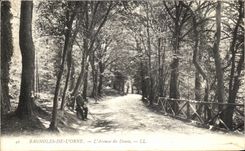 CPA Bagnoles de l Orne L Avenue du Dante