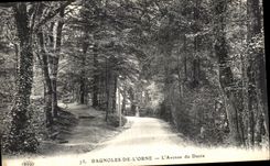 CPA Bagnoles de l Orne L Avenue du Dante