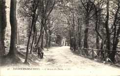 CPA Bagnoles de l Orne L Avenue du Dante