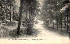 CPA Bagnoles De L Orne L Avenue du Dante