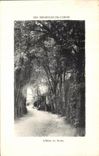 CPA Bagnoles De L Orne L allee du Dante