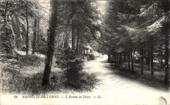 CPA Bagnoles De L Orne L Avenue du Dante