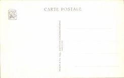 De la VENDIMIA de la POSTAL de Paris senal grande del international 1931 coloniales favorablemente de los 50m